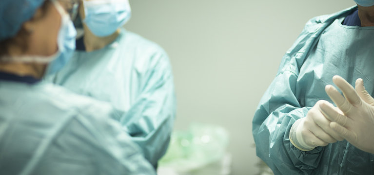 Cirurgia de baço em cães