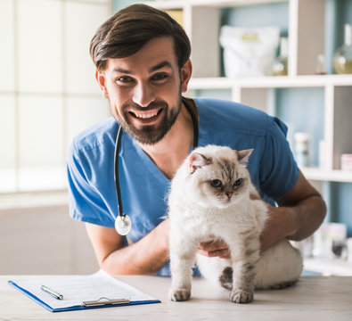 Clínica veterinária com internação em São José dos Pinhais