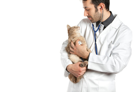 Clínica veterinária próxima