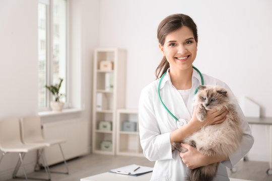 Dermatologia veterinária