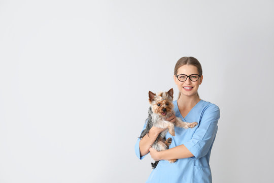 Dermatologista pet