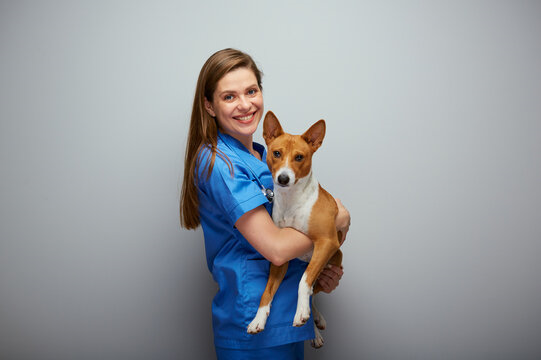 Veterinário dermatologista em Curitiba
