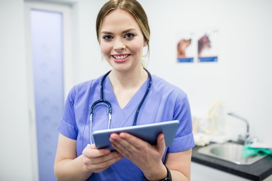 Veterinário dermatologista perto de mim